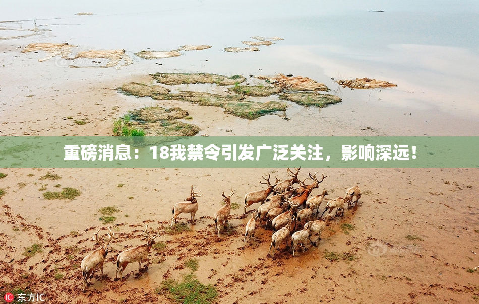 重磅消息：18我禁令引发广泛关注，影响深远！