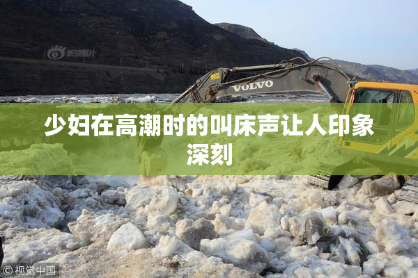 少妇在高潮时的叫床声让人印象深刻