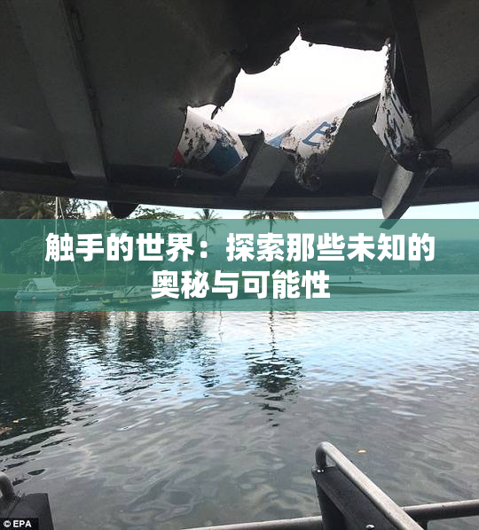 触手的世界：探索那些未知的奥秘与可能性