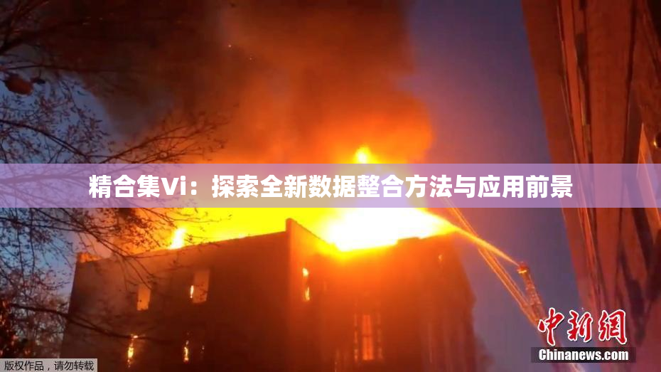 精合集Vi：探索全新数据整合方法与应用前景