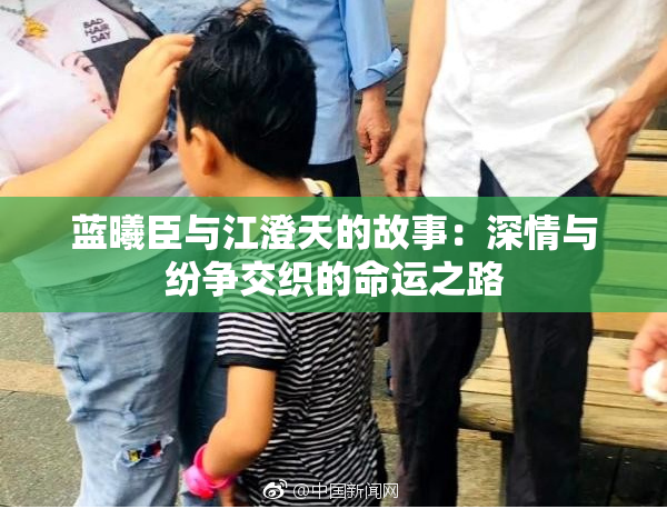 蓝曦臣与江澄天的故事：深情与纷争交织的命运之路