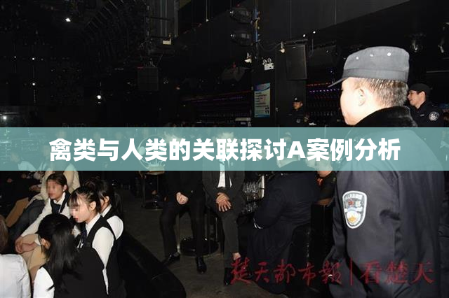 禽类与人类的关联探讨A案例分析