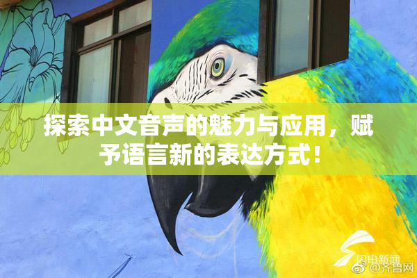 探索中文音声的魅力与应用，赋予语言新的表达方式！