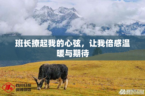 班长撩起我的心弦，让我倍感温暖与期待