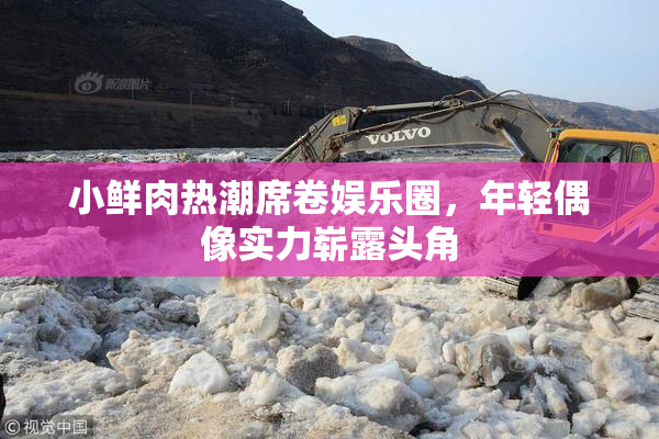 小鲜肉热潮席卷娱乐圈，年轻偶像实力崭露头角