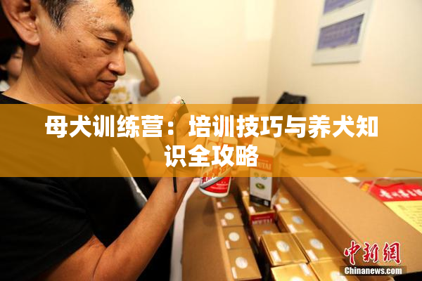 母犬训练营：培训技巧与养犬知识全攻略