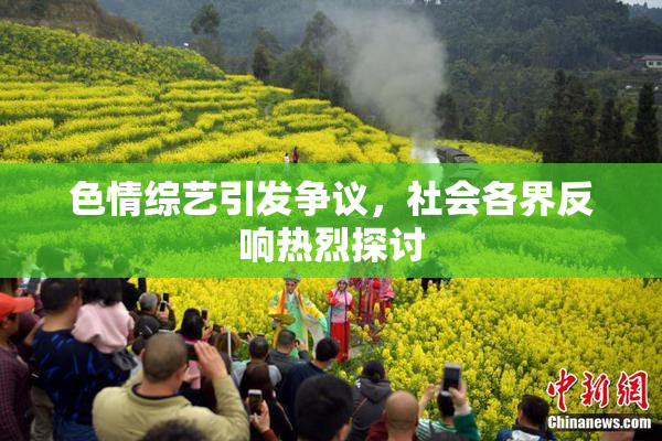 色情综艺引发争议，社会各界反响热烈探讨