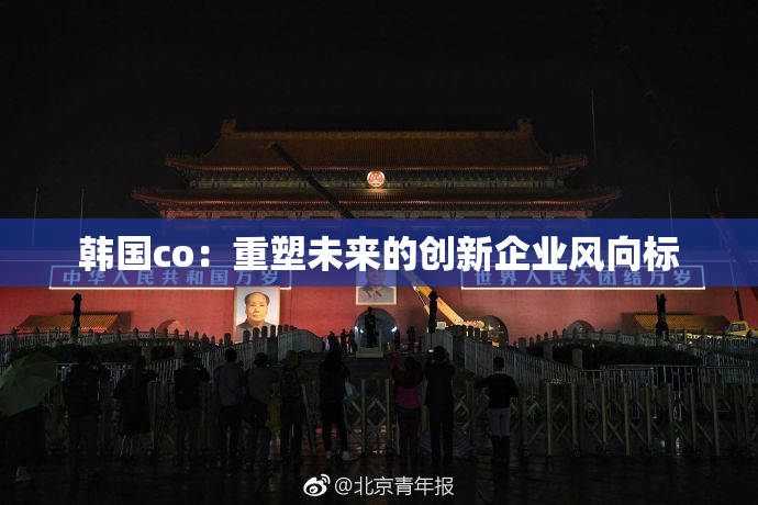 韩国co：重塑未来的创新企业风向标