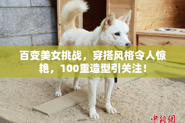 百变美女挑战，穿搭风格令人惊艳，100重造型引关注！