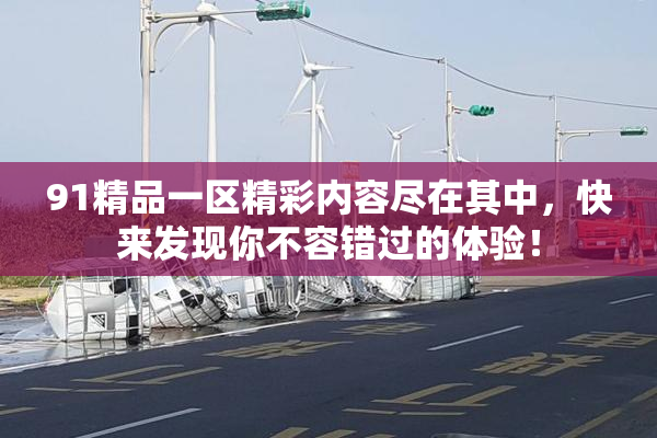 91精品一区精彩内容尽在其中，快来发现你不容错过的体验！