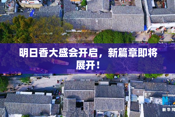 明日香大盛会开启，新篇章即将展开！