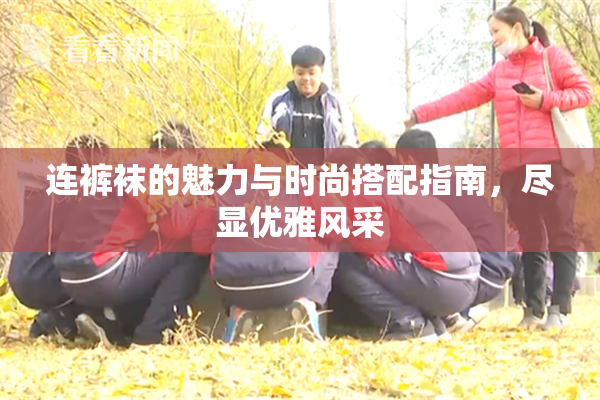 连裤袜的魅力与时尚搭配指南，尽显优雅风采