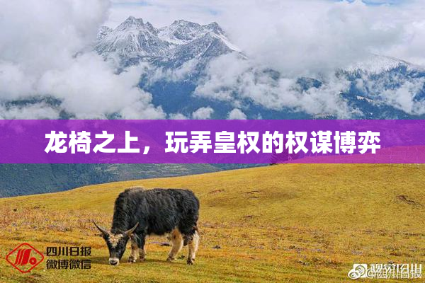龙椅之上，玩弄皇权的权谋博弈