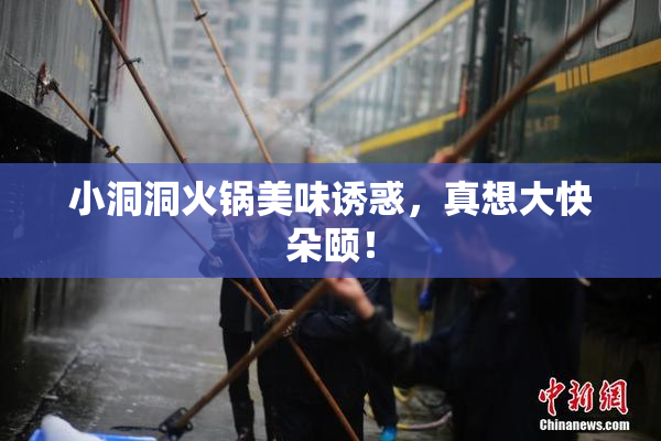 小洞洞火锅美味诱惑，真想大快朵颐！