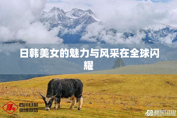 日韩美女的魅力与风采在全球闪耀