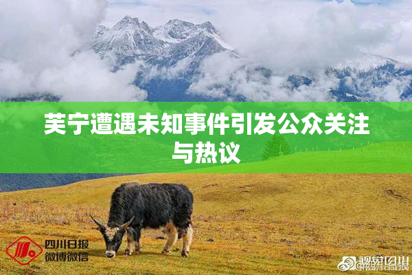 芙宁遭遇未知事件引发公众关注与热议
