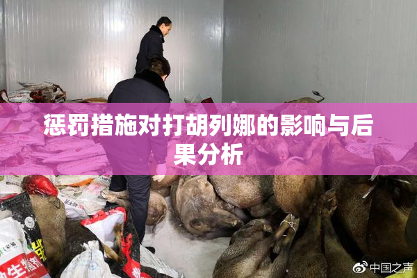 惩罚措施对打胡列娜的影响与后果分析