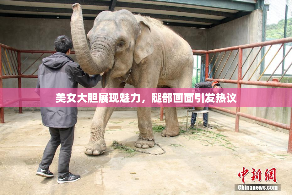 美女大胆展现魅力，腿部画面引发热议