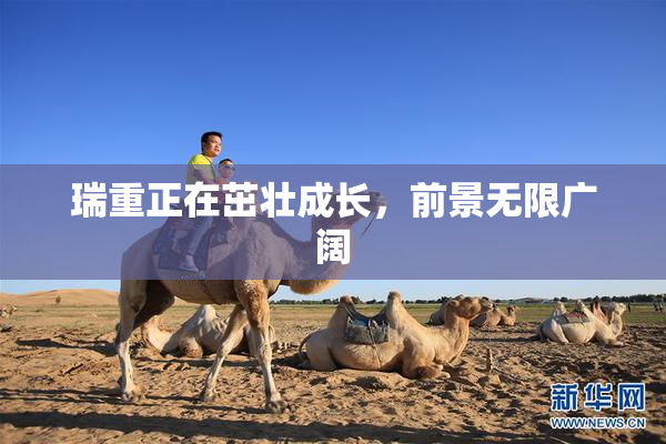 瑞重正在茁壮成长，前景无限广阔