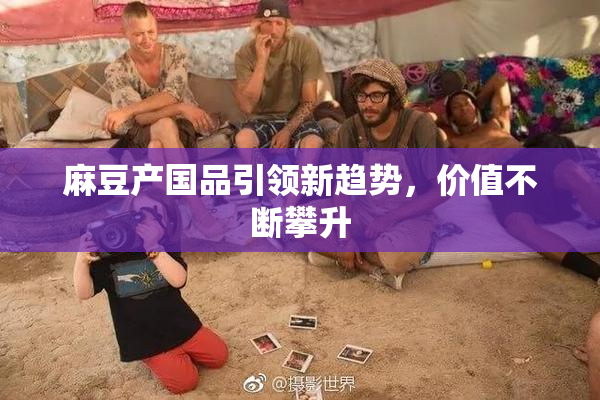 麻豆产国品引领新趋势，价值不断攀升