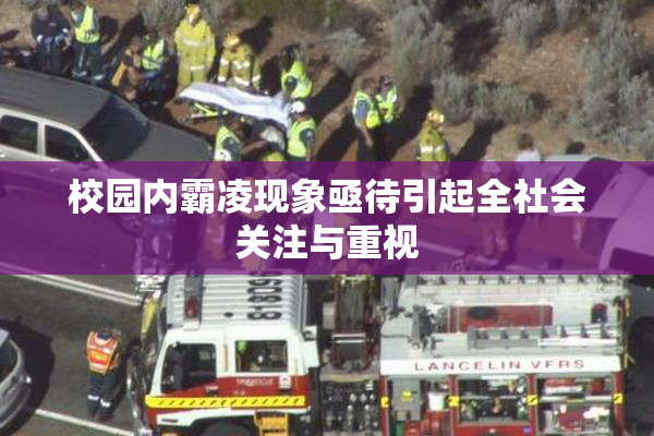 校园内霸凌现象亟待引起全社会关注与重视