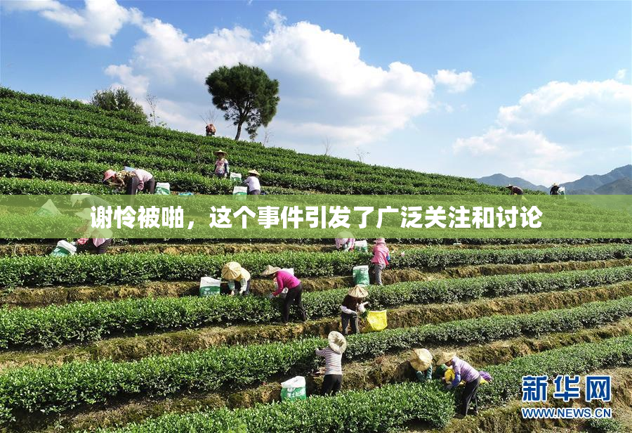 谢怜被啪，这个事件引发了广泛关注和讨论