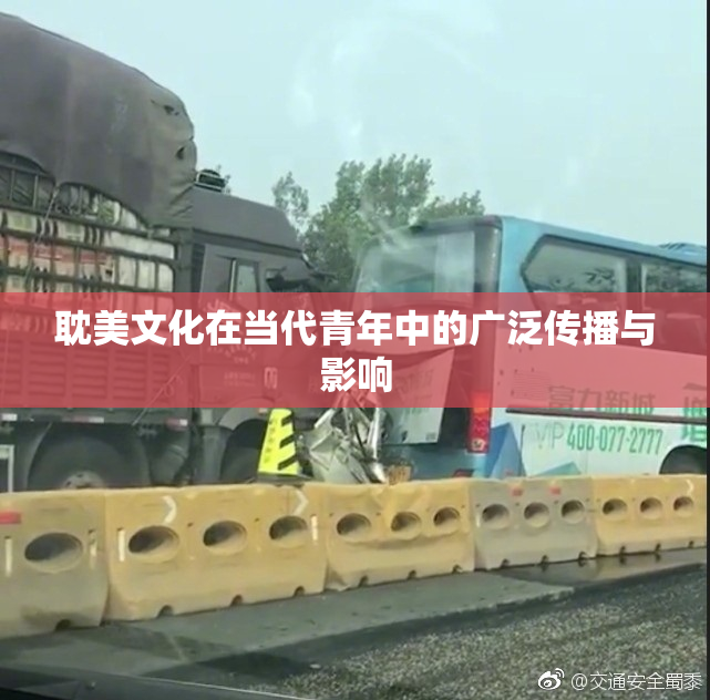耽美文化在当代青年中的广泛传播与影响