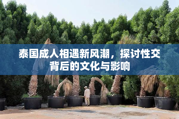 泰国成人相遇新风潮，探讨性交背后的文化与影响