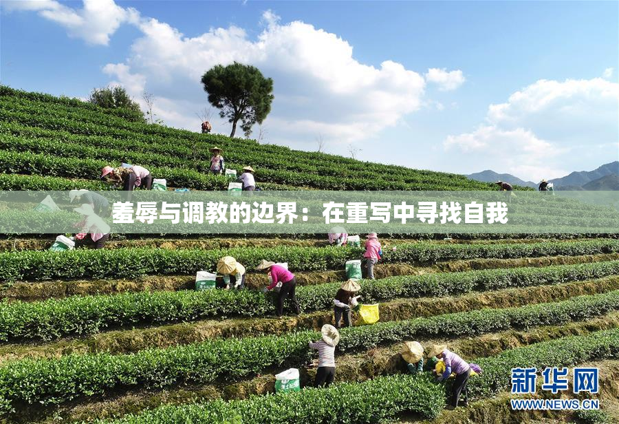 羞辱与调教的边界：在重写中寻找自我