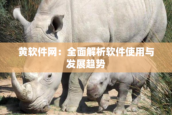 黄软件网：全面解析软件使用与发展趋势