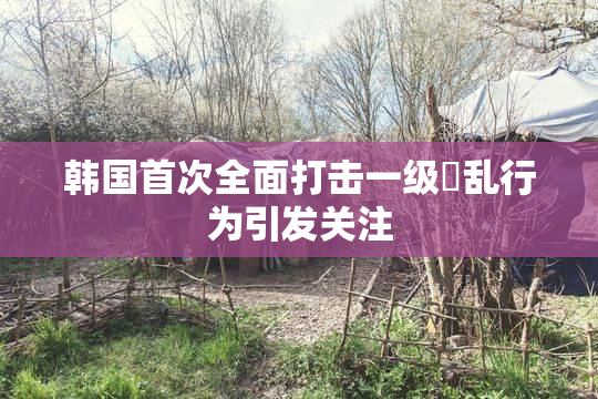 韩国首次全面打击一级婬乱行为引发关注