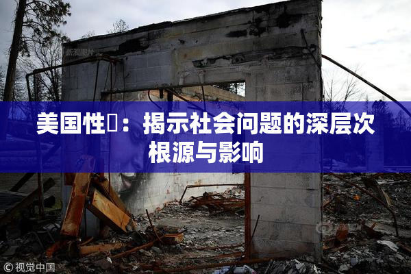 美国性婬：揭示社会问题的深层次根源与影响