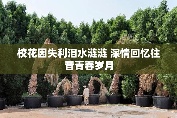 校花因失利泪水涟涟 深情回忆往昔青春岁月