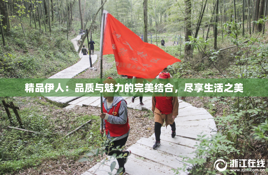精品伊人：品质与魅力的完美结合，尽享生活之美