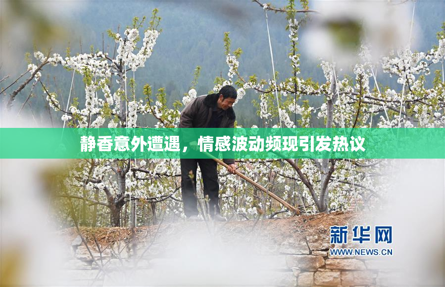 静香意外遭遇，情感波动频现引发热议