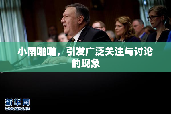 小南啪啪，引发广泛关注与讨论的现象