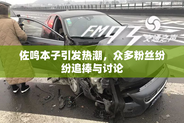 佐鸣本子引发热潮，众多粉丝纷纷追捧与讨论