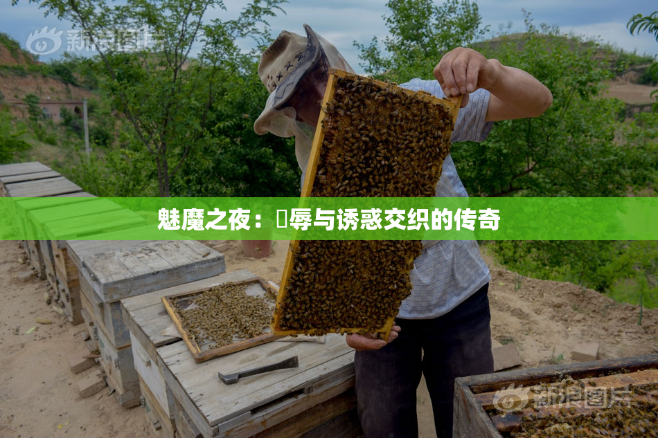 魅魔之夜：婬辱与诱惑交织的传奇