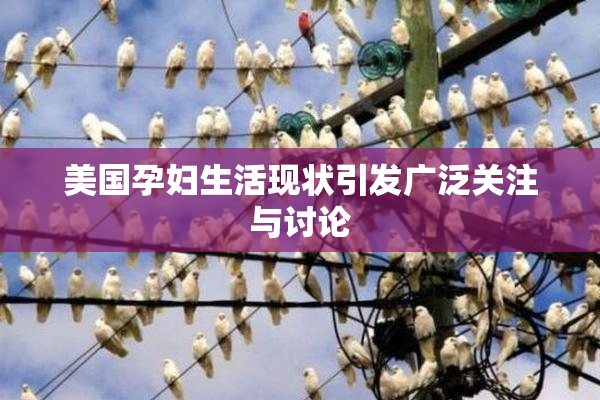 美国孕妇生活现状引发广泛关注与讨论