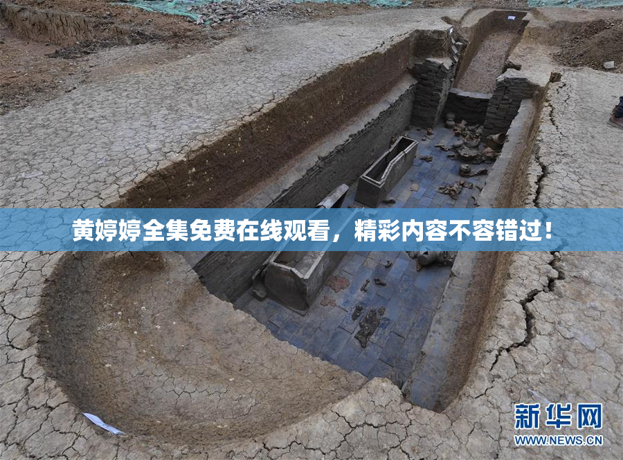 黄婷婷全集免费在线观看，精彩内容不容错过！