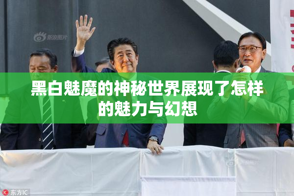 黑白魅魔的神秘世界展现了怎样的魅力与幻想