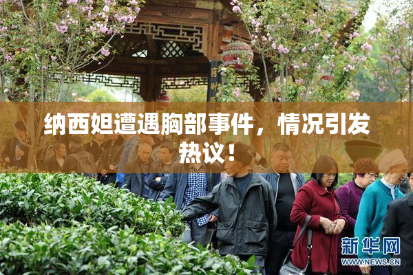 纳西妲遭遇胸部事件，情况引发热议！