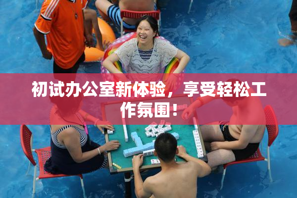 初试办公室新体验，享受轻松工作氛围！