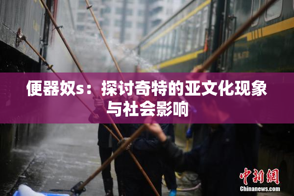 便器奴s：探讨奇特的亚文化现象与社会影响
