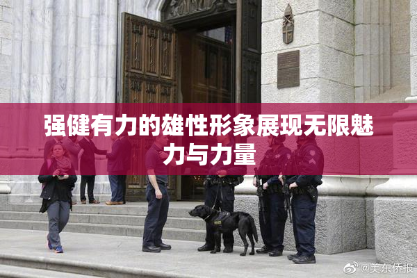 强健有力的雄性形象展现无限魅力与力量