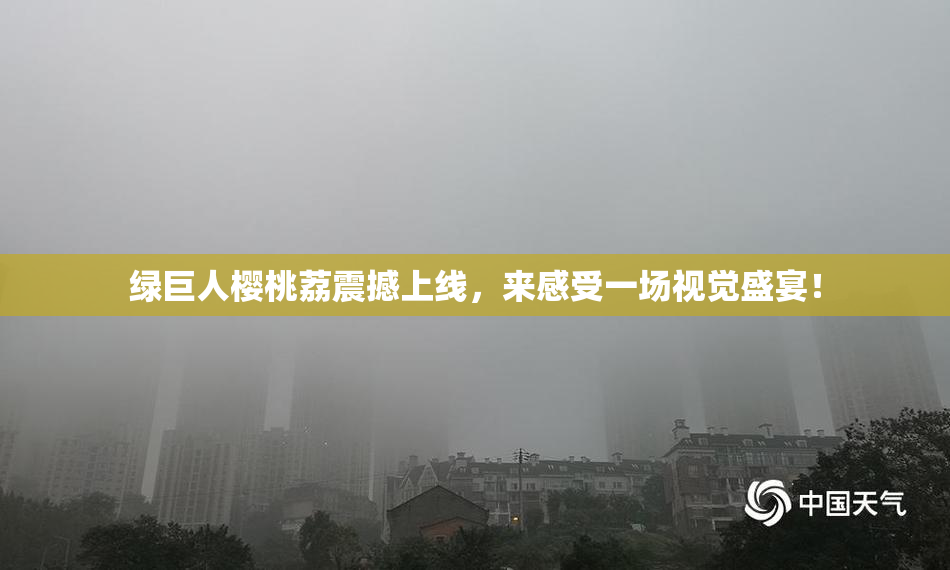 绿巨人樱桃荔震撼上线，来感受一场视觉盛宴！