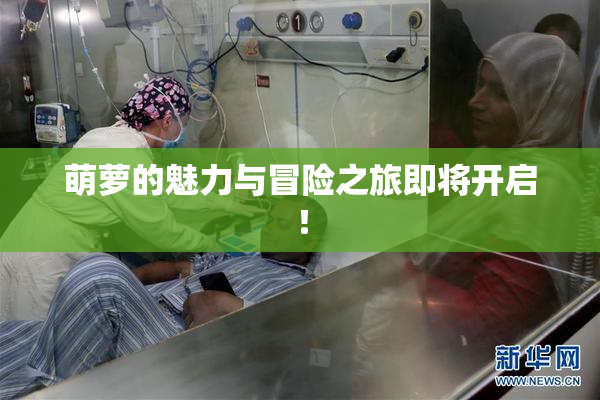 萌萝的魅力与冒险之旅即将开启！