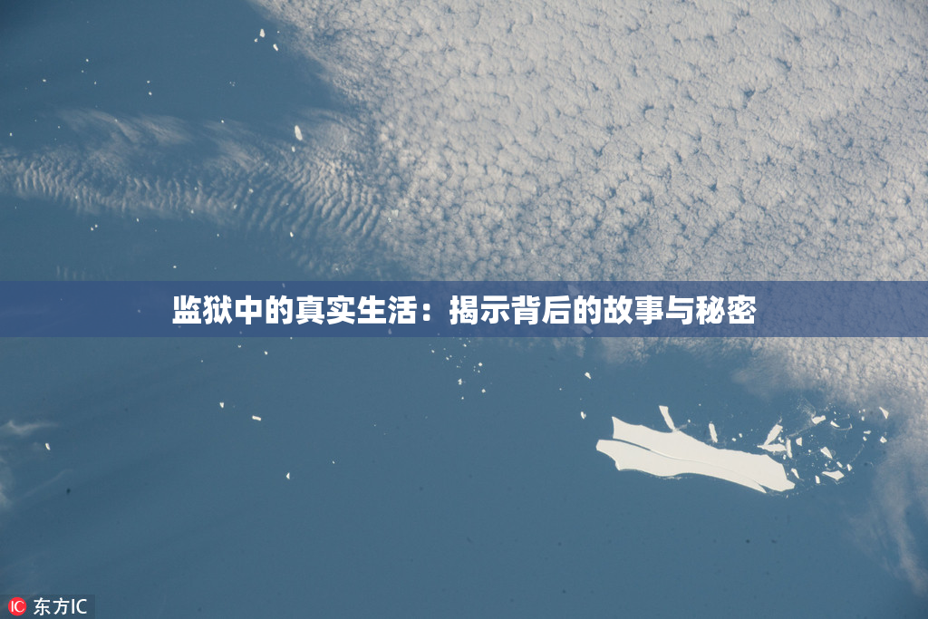 监狱中的真实生活：揭示背后的故事与秘密