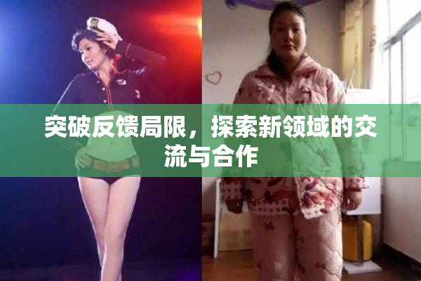 突破反馈局限，探索新领域的交流与合作