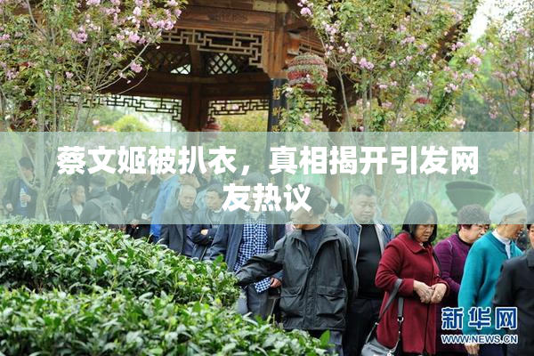 蔡文姬被扒衣，真相揭开引发网友热议